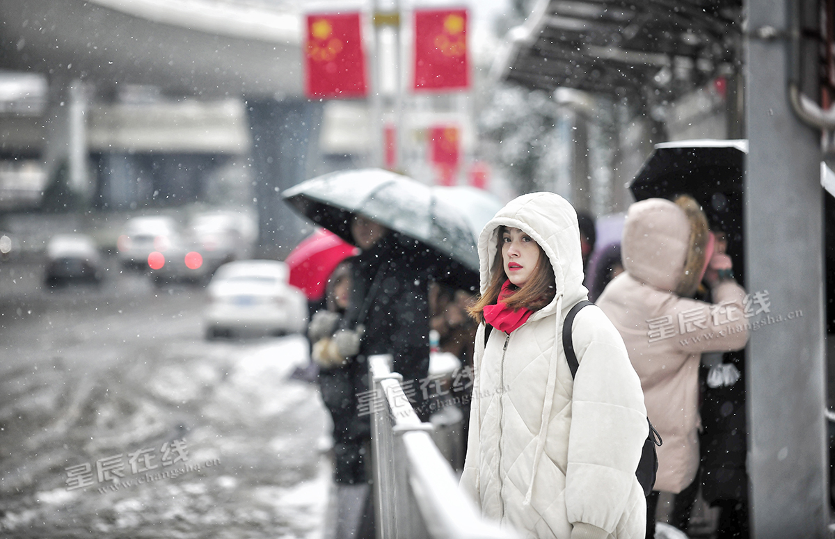 大图| 雪中情,在街头巷尾遇见你